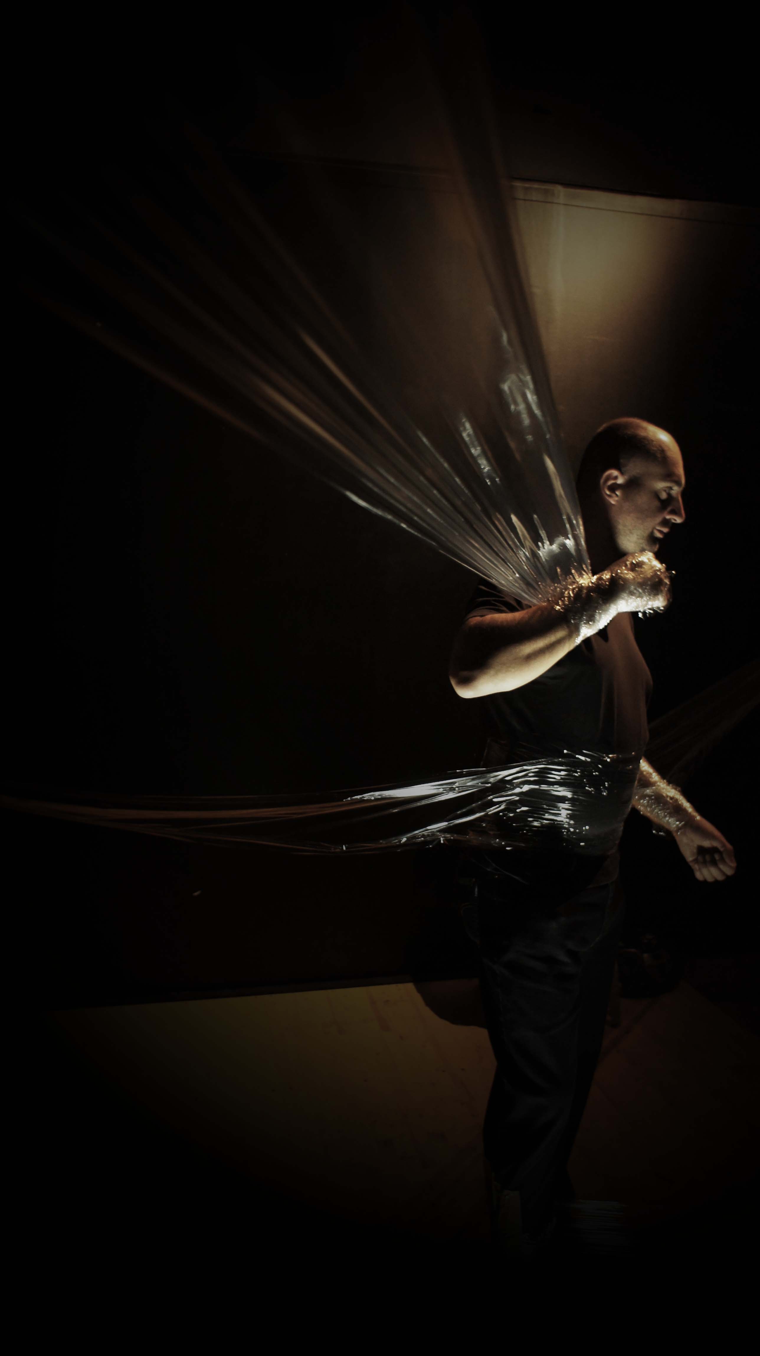 ALBERI RESISTENTI (2013)